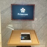 プリムローズ - 