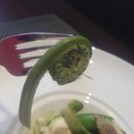 レストラン ラ・フロレゾン・ドゥ・タケウチ - ワラビも♪