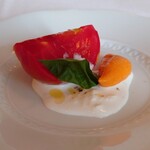 サーラ アマービレ - 