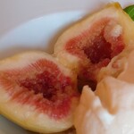 サーラ アマービレ - 