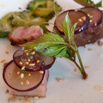 サーラ アマービレ - 