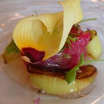 サーラ アマービレ - 