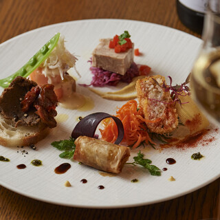 ブラチェリア バーヴァ_2