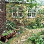 カーム ガーデン - 