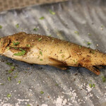 Barca. - 岐阜県長良川天然鮎のコンフィ