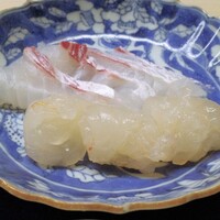 道人 - 明石真鯛・淡路伊勢海老