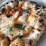 PIZZA CHECK - ランチのマルゲリータ