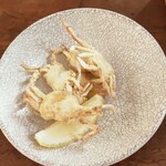 サケシーン ますふく - 前菜の渡り蟹のフリット