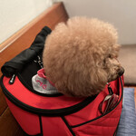 ＭＯＭＩＮＯＫＩ ＨＯＵＳＥ - リュック持参で