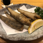 SAKEバル遊家本店 - 