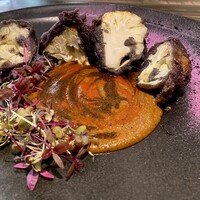 Conico - 