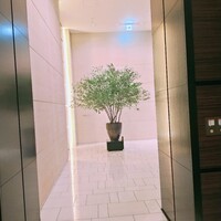 モダンフレンチ 「コラージュ」 コンラッド東京 - 