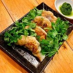 Shichifuku Gyouzarou - パクチー餃子
      