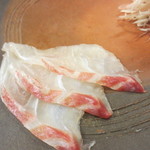 寿司 竹本 - 山口 蓋井の真鯛