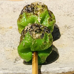 おみ乃 - ・ひしの南蛮