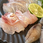 和み処 なかた - 黒鯛ZOOM