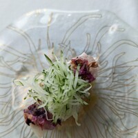 広東料理 センス - 