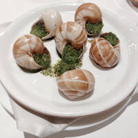 Benoit Alain Ducasse - 