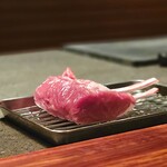 Saucer - 焼く前の綺麗な仔羊