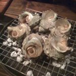 花冠 - 