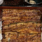 Unagi Futaba - 