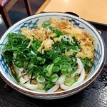 瀬戸うどん  - 