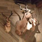 TOKYO Whisky Library - 