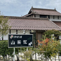 山茶花 - 