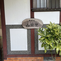 山茶花 - 