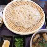 Tenobe Udon Koyori - 細麺