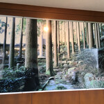 霧島ホテル - 100年杉林　朝の散歩が楽しみになりますよ