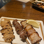 魚に鍋に炭火焼 いちかわ藤 - 焼きトン、砂肝、ホルモン塩で