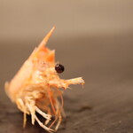 すし大 - 車エビ 目が取れちゃった