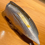 こま田 - 熊本産の小肌です。かなり小さめのサイズでした