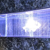 焼肉 拍手喝采 - 