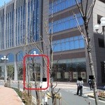 銀座スエヒロ 東京工科大学蒲田店 - 201304　ｽｴﾋﾛ　ここだよー(゜o゜)！