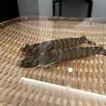 日本料理 TOBIUME - 