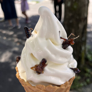 諏訪湖観光汽船 売店_1