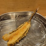 てんぷら 深町 - 女鯒