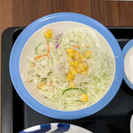 松屋 - 豚生姜焼定食 ¥730 の生野菜