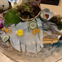 いけす 鶴八 名駅 はなれ - いか