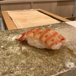 鮨 もりなり - 車エビ