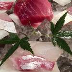 めしの助 - 造り_おまかせ盛合せ