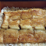 五代目 野田岩 麻布飯倉本店 - 鰻重  桔梗