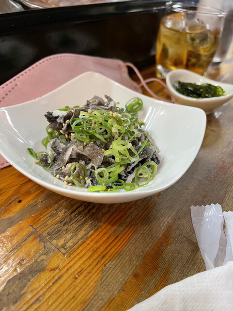 鳥ちゃん Kotori-chan * rode the Ninja ZX-25R early!! So, is it a