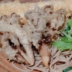 蕎麦酒処つきじ庵 - 