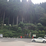 霧島ホテル - ホテル玄関から見た、100年杉林 歴史を感じます。