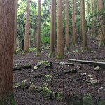 霧島ホテル - 100年杉 頂上まで散歩道　30分くらい歩いてきました。