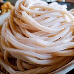 田舎うどん てつ - めちゃ旨いうどん