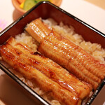 Shimbashi Unagi Fugu Unafuji - 